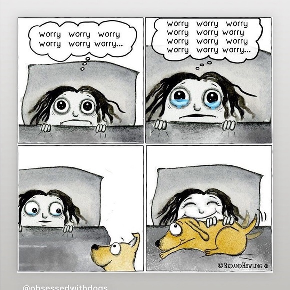 Meet your Posher, Helen - Picture 6 of 9